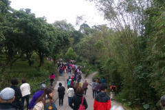 2015年3月_石籬二邨樂悠遊